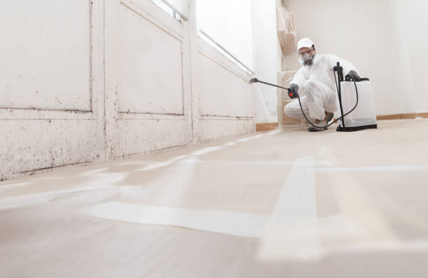 24/7 Emergency Attic Mold Removal experts in Downingtown, PA